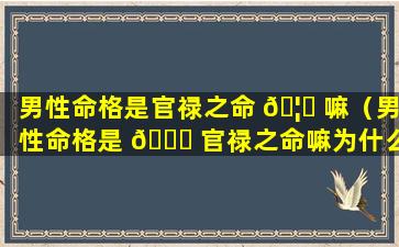 男性命格是官禄之命 🦋 嘛（男性命格是 🐝 官禄之命嘛为什么）